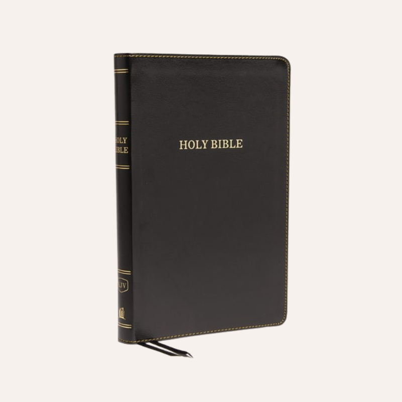 KJV Thinline Bible Black