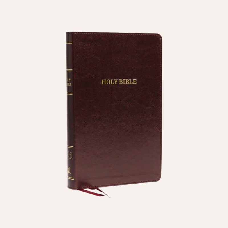 KJV Thinline Deluxe Ref Bible Burgundy