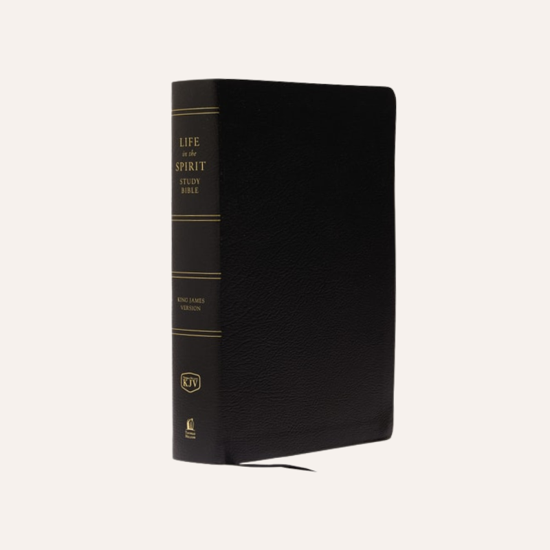 KJV Life in the Spirit Study Bible