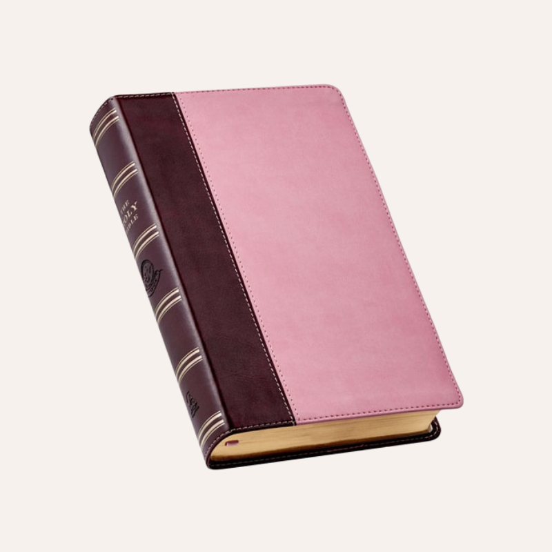 KJV Giant Print Bible