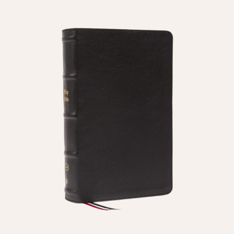 KJV Personal Size Large Print Single Column Ref Black G.L