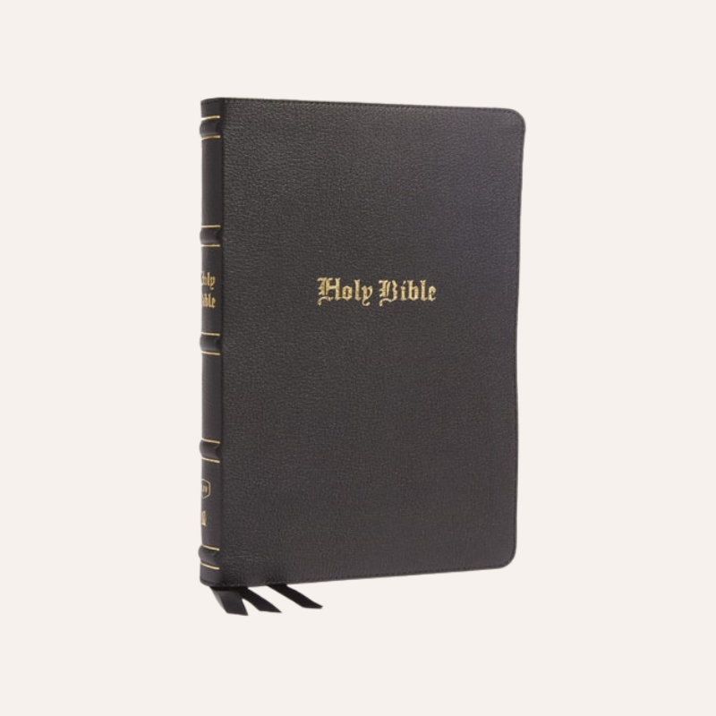 KJV Large Print Thinline Bible Black