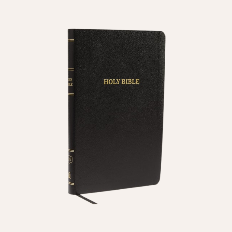 KJV Thinline Ref Bible Black